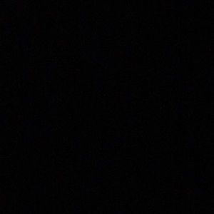 Meet your Posher, Roger